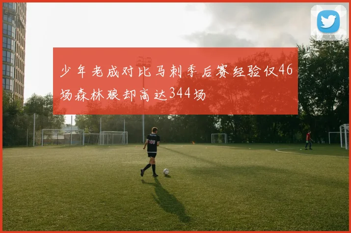 少年老成对比马刺季后赛经验仅46场森林狼却高达344场