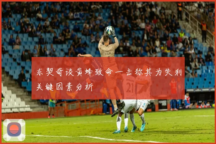 东契奇谈黄蜂致命一击称其为失利关键因素分析